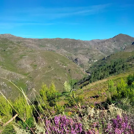 Hostel Family Adams House