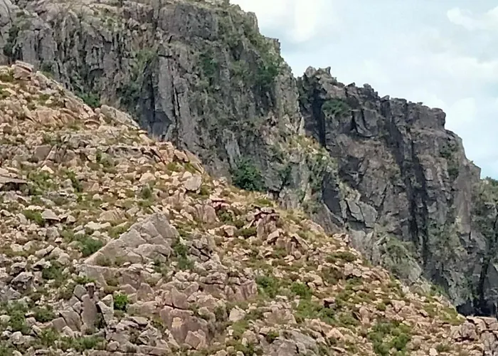 Hostel Family Adams House