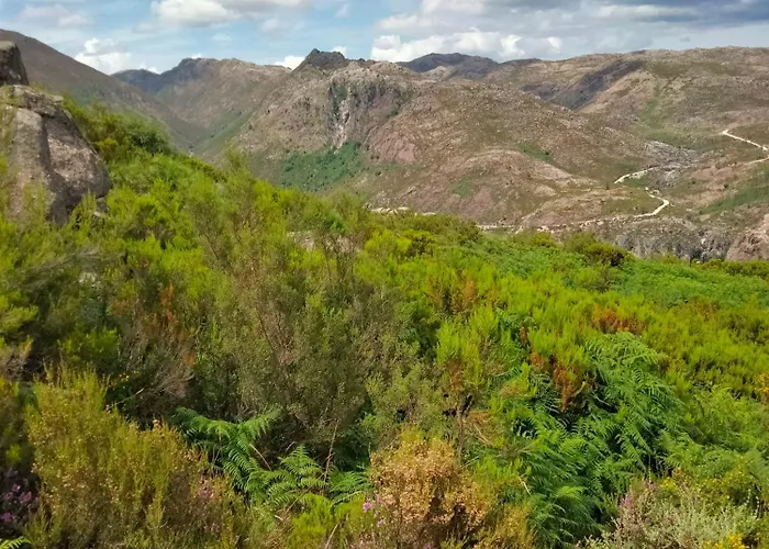 Albergue Family Adams House